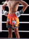 Muay Thai Shorts, Free Fighting Shorts, Mixed Martial Arts Shorts for Men and Women, Sanda Training Clothes, Boxing Shorts, Adult Boxing Clothes
