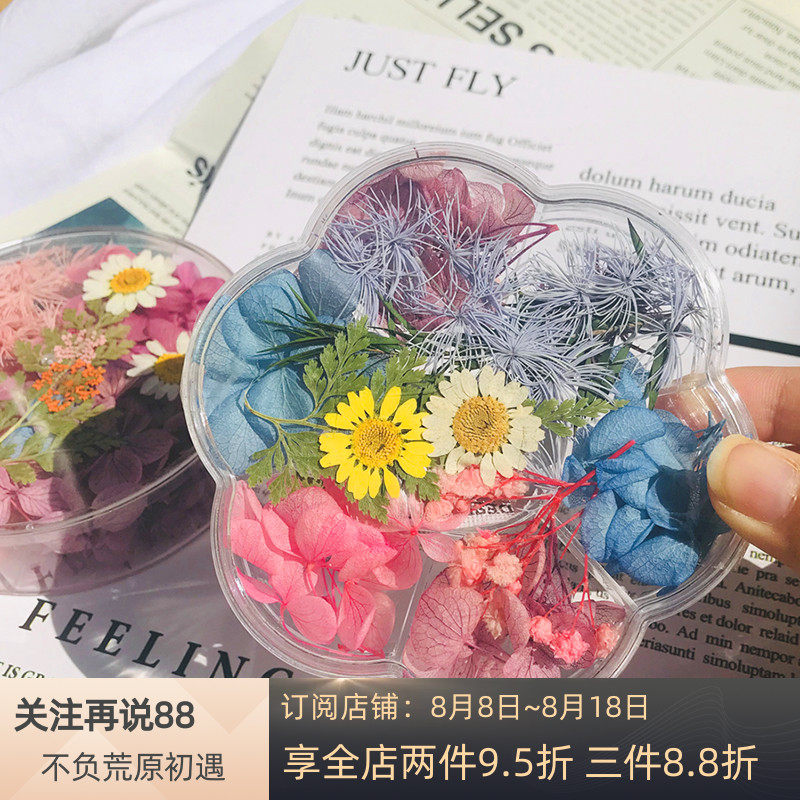 Photo small daisy dried flower stickers face petal makeup makeup ins net red wind stickers face decals photo decoration props