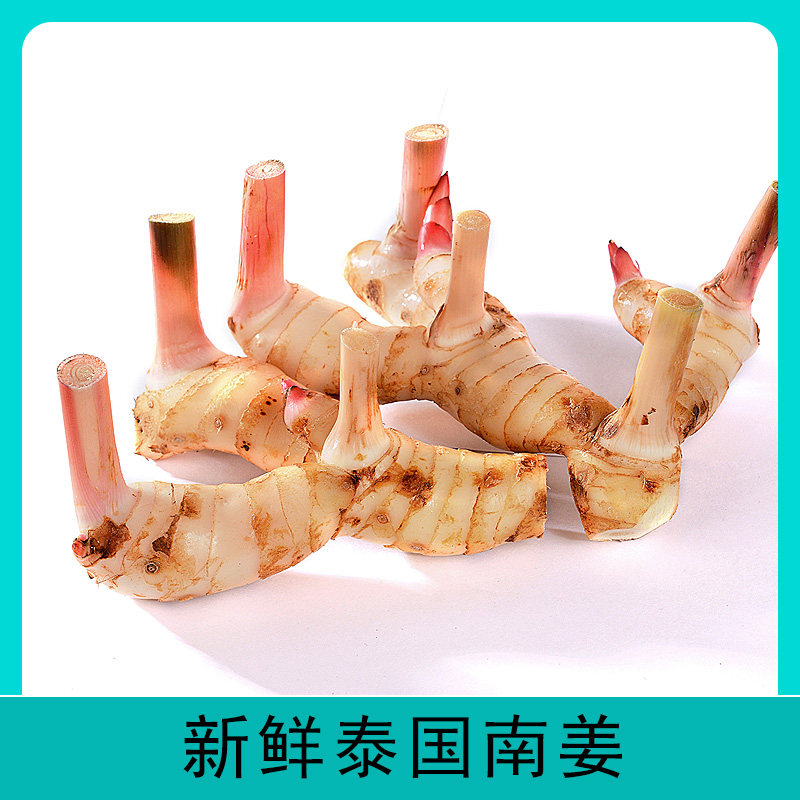 Thai south ginger fresh South ginger fresh Liang Ginger 500g spice seasoning Dongyin soup soup hot pot soup base