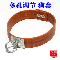 Wolf dog set pet buckle dog collar dog dog chain dog chain collar traction multi-hole adjustment rope chain