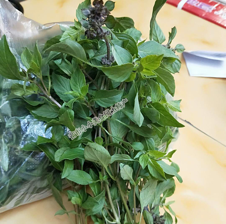 Yunnan wild roleleaf nine layers of tarkin mustard spice fresh Dai taste seasoning gold without changing gold calcium 250 gr