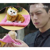 Dear Beloved the same cat will be called emulation kitty emulation small cat sleeping animal model holiday gift