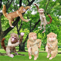 Simulation monkey leather fur animal specimen scene display ornaments plush toys twelve Zodiac