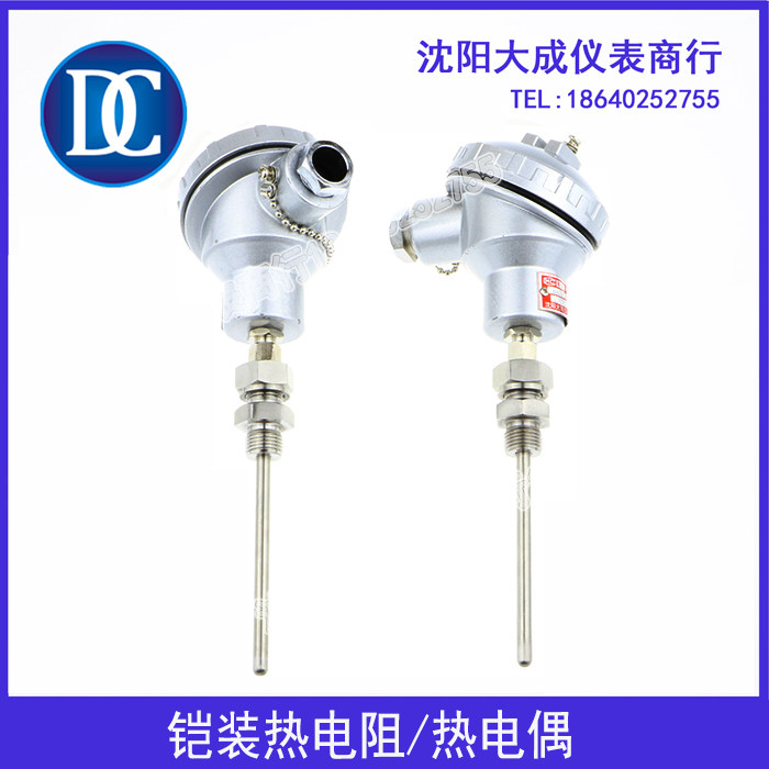 (Dacheng) Armored thermal resistance couple PT100 K-type temperature sensor can be customized power station thermal resistance