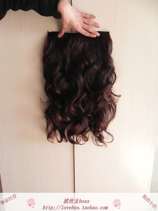 Extension cheveux - Ref 219298 Image 29