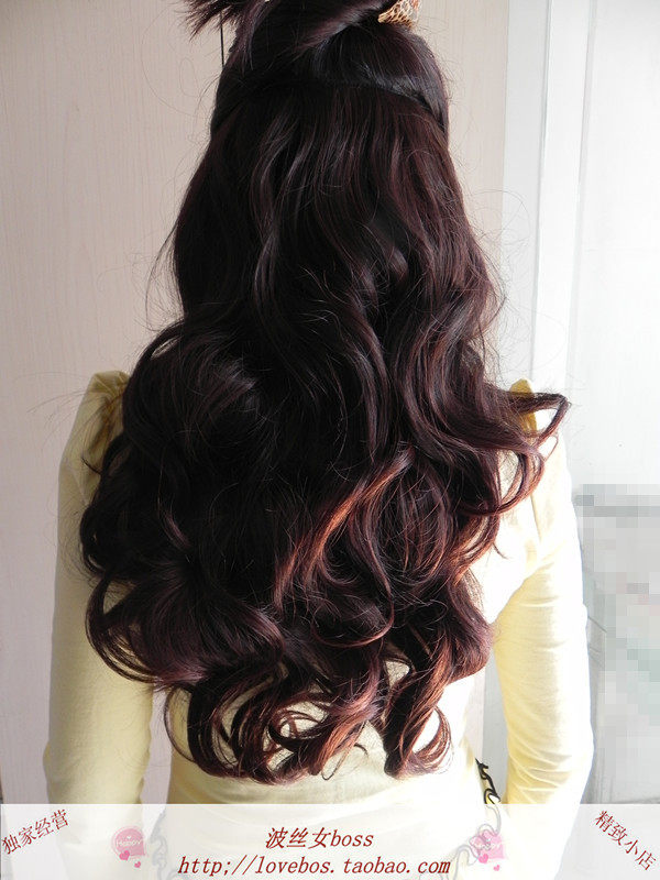 Extension cheveux - Ref 219298 Image 31