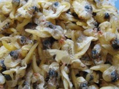 Lianyungang cooking seafood light and dry clam (self-sealed bag half a bag, buy two bags)