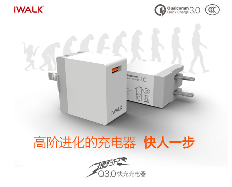 chargeur IWALK - Ref 1292375 Image 6