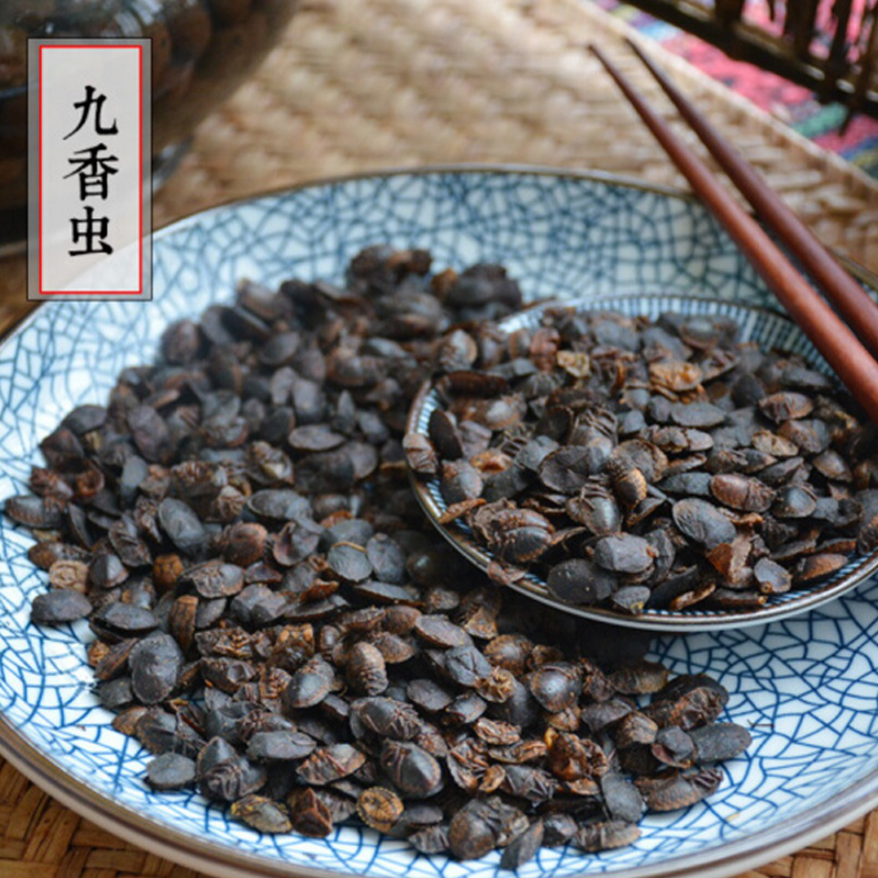 Chinese herbal medicine small Jiuxiang Words Nine Fragrant Worms Black Hood Beetle Dung Beetle 500 gr Beats Faggot Worms Nine Fragrant Worms