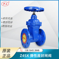 Shanghai Shanghaiwork Z45X Dark rod elastic seat sealing flange gate valve fire water discharge valve DN80 100