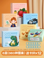 [6 ящиков с большими картами] Животные+фрукты и овощи+символы+трафик+числа+цвет (увеличение утолщения)