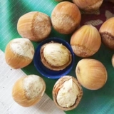 Чанбайя гора дикий фундук с дикой природой северо -восток дикий маленький фундук Оригинальный натуральный глупый лесной орех 500G Бесплатная доставка