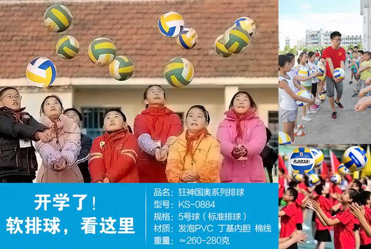 Ballon de volley-ball - Ref 2010551 Image 27