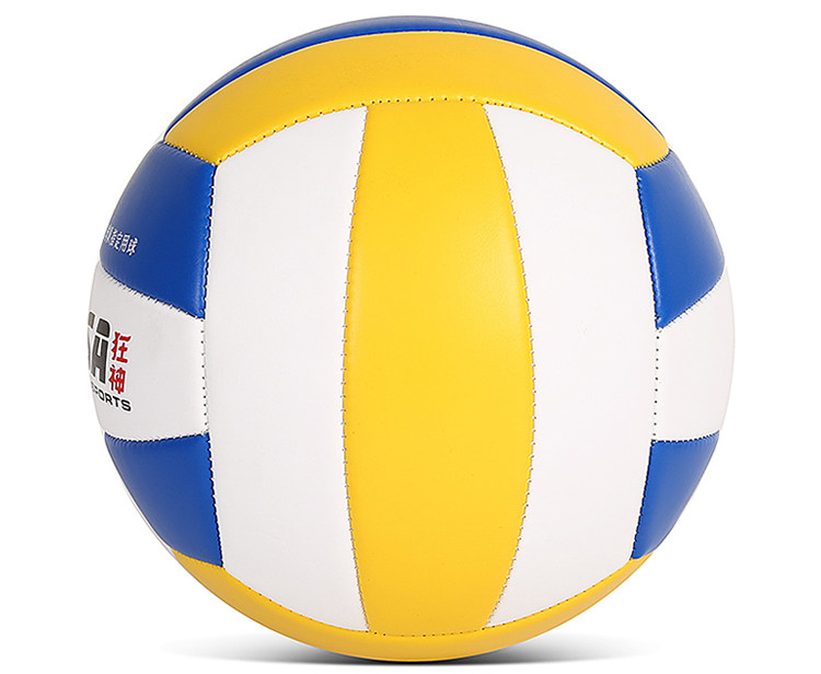 Ballon de volley-ball - Ref 2010551 Image 35