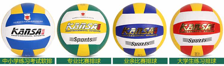 Ballon de volley-ball - Ref 2010551 Image 28