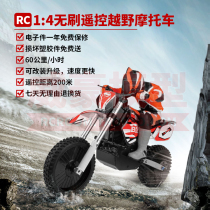 X-Rider ARX540 Brushless Electric 1 4 Motocross Electronic Gyroscope Adult R C RC Car
