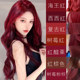 Authentic Red Poplar Qinqin Yangyang hair dye without bleaching at home hair dye cream for women to show whiteness retro red raspberry red Xixi red