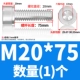 M20*75