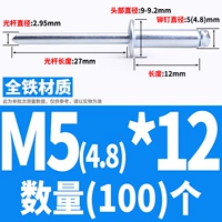 Железный M5*12 (100)