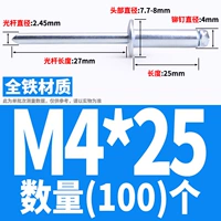 Железный M4*25 (100)