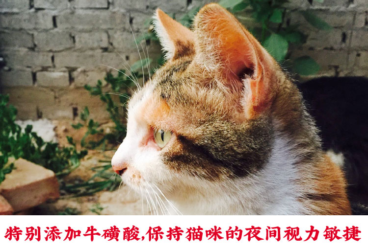 Mì nhỏ tự nhiên mèo thức ăn tự chế mèo thức ăn mèo gạo cá biển hương mèo phổ quát 2,5kg quốc gia - Cat Staples thức ăn cho mèo