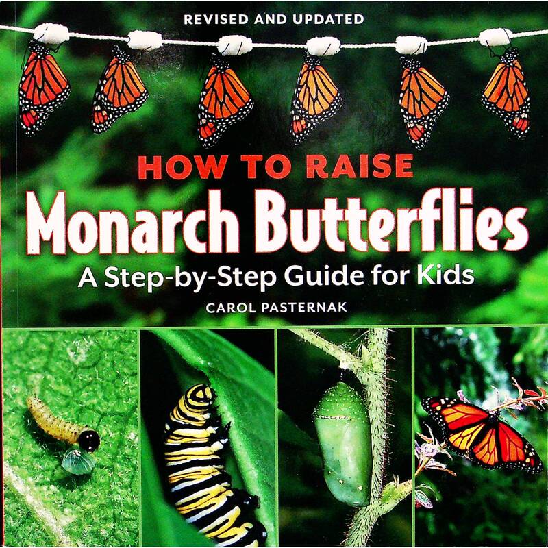 Firefly Book Series Original Edition Children's Step-By-Step Guide English Natural Science Picture Book Suitable for Ages 7-10 Written by Carol Pasternak Detailed Explanation of the Life Cycle and Feeding Methods of the Monarch Butterfly Cultivates Children's Observation Skills