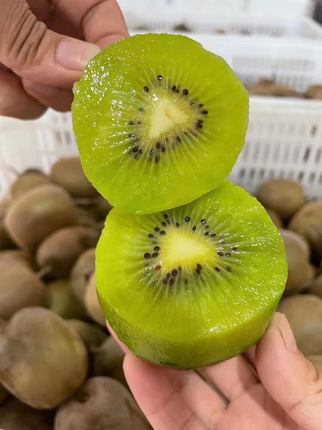 和平农家乐