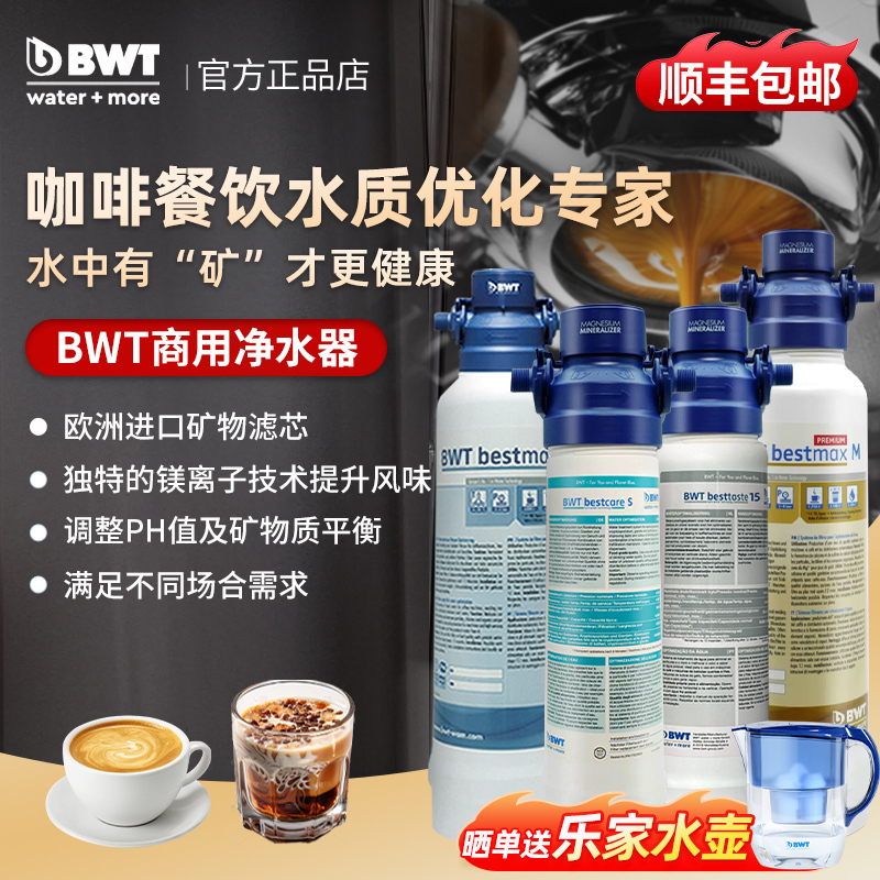 Bwt Commercial Water Purifier Filter Cartridge Under-Counter Coffee and Catering Filter Direct Drinking Water German Original Import