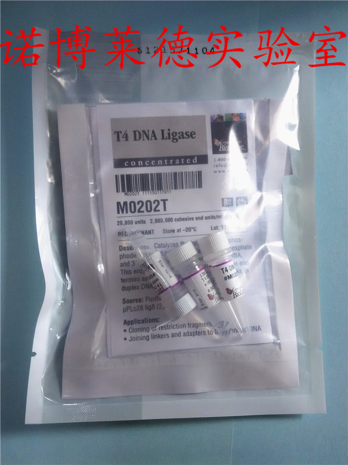 T4 DNA 连接酶 量大优惠 NEB M0202T 现货 冰袋运输 可开发票