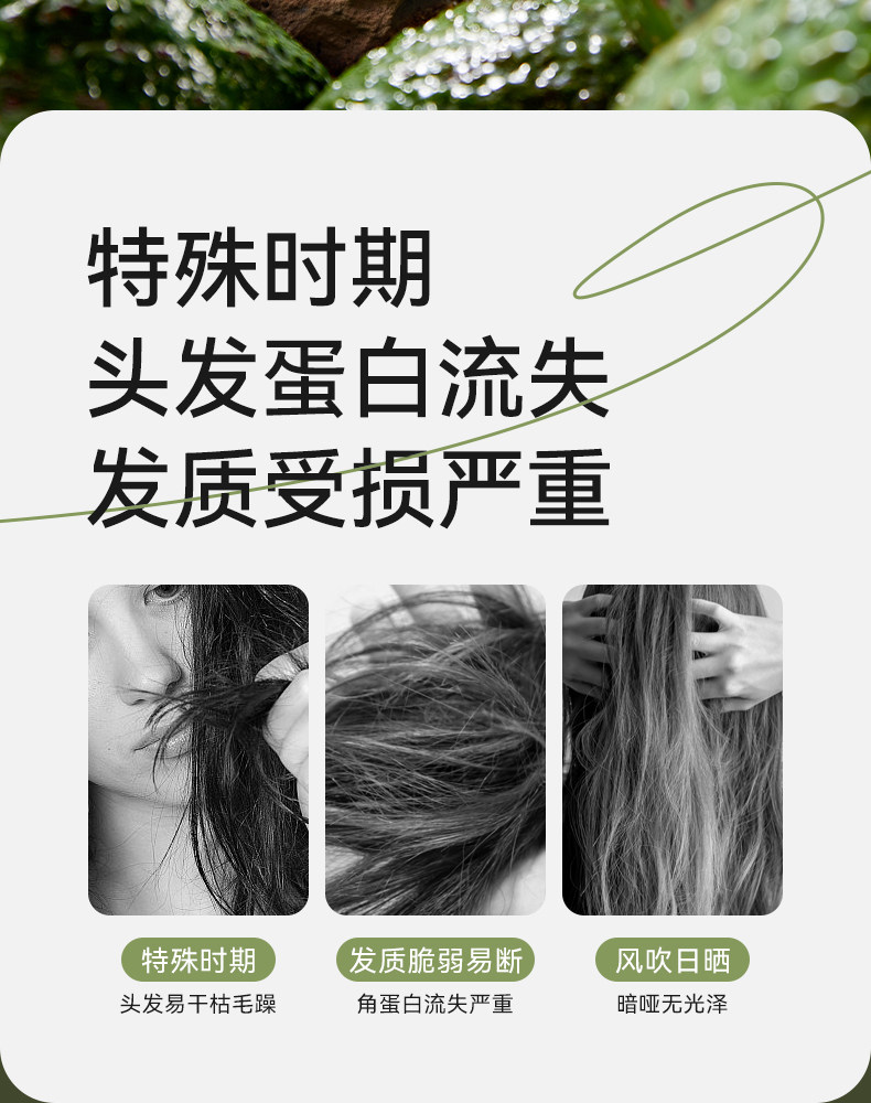 十月结晶花悦备孕发膜柔顺丝滑改善毛躁护发保湿滋润防断发乳妇女 — 5