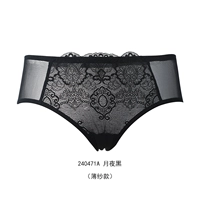 Moonlight Night 240471a