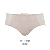 Высушенная розовая порошка 40056