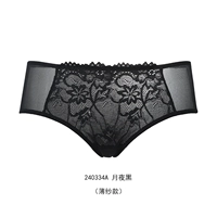 Moonlight Night 240334a