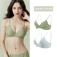 Зеленый авокадо + нордический синий