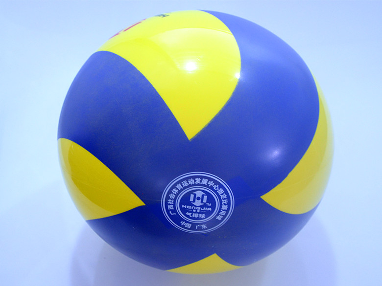 Ballon de volley - Ref 2012832 Image 10