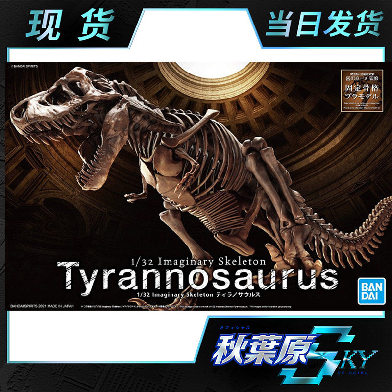 Spot Wandai model 1 32 dinosaur fossil barking dragon fossil skull specimen model