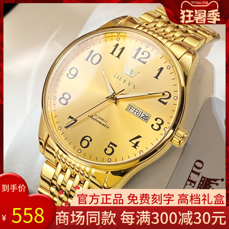 Swiss Tide Business Watches Men's Fully Automatic Mechanical Watch Nameplate Waterproof Brand Digital Male Watch