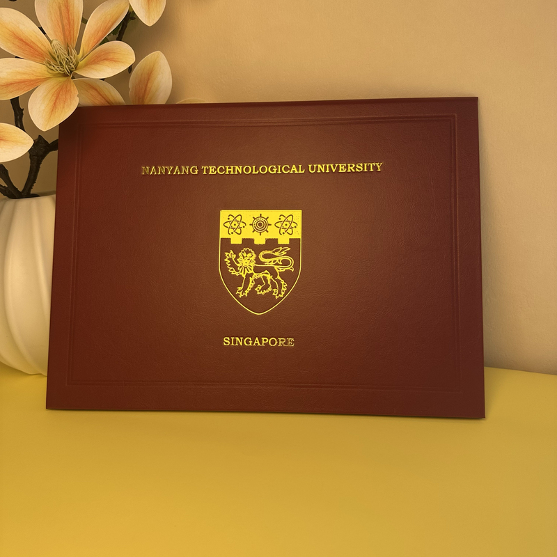 Graduation Cover and Protective Case from Nanyang Technological University of Singapore, Souvenir Gift for International Students