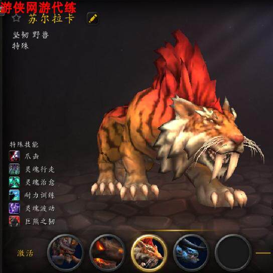 魔兽世界代练抓猎人灵魂兽技巧有哪些？2025年火龟、猫头鹰、安卡马格、瑞亚熊全攻略来了_游戏推荐_淘宝游戏网
