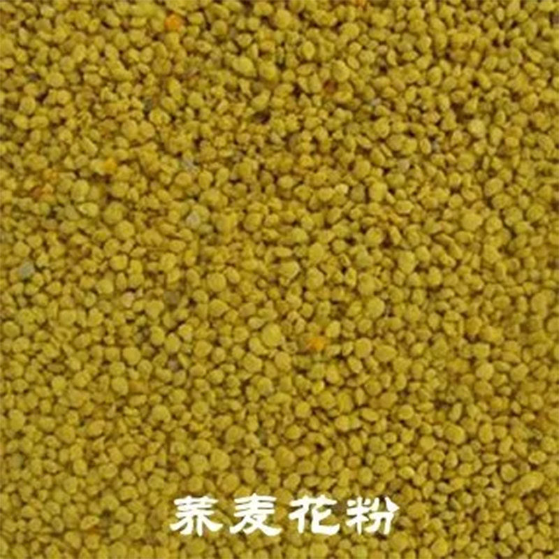 北方荞麦花期花粉-250g