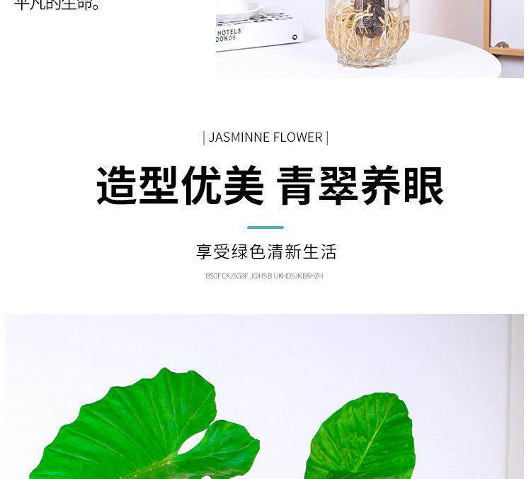 详情图8.jpg