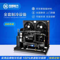 Cold Storage Equipment Valley Wheel Bizer Semi-Closed Air-cooled Water Cooled Unit Compressors 3p5P 8p 10P 15P