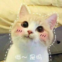 1 Yuan postage supplement difference link difference How much to shoot