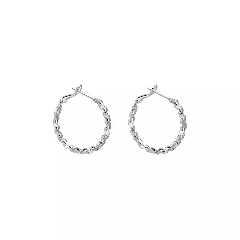Light Luxury Niche High-End Silver Hoop Earrings for Women, European and American Style, Exaggerated and Versatile, Stylish Earrings and Ear Accessories
