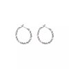 Light Luxury Niche High-End Silver Hoop Earrings for Women, European and American Style, Exaggerated and Versatile, Stylish Earrings and Ear Accessories