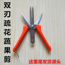 Apple sparse fruit scissors Vegetable and fruit scissors New grape repair fruit double mouth scissors Sparse flower sparse fruit scissors artifact Agricultural sparse flower scissors