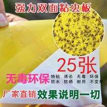 Armyworm yellow board Armyworm paper small flying insect insecticidal sticker Armyworm board orchard outdoor greenhouse double-sided fruit fly trap sticker