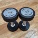 Tyneo Dumbbells Commercial Gym Dumbbells Round Head Fixed Rubber-Coated Dumbbell Set Home Personal Training Fitness Equipment