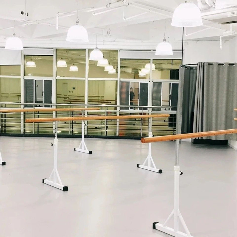 Dance pole mobile adult children's home professional dance room can lift the dance practice leg press rod portable