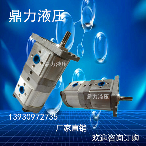 Hydraulic oil pump Duplex gear pump Hydraulic gear oil pump Spraying truck Fertilizer truck gear pump